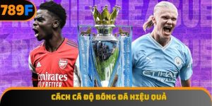 Cách cá độ bóng đá hiệu quả