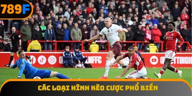 Các loại hình kèo cược phổ biến trong cá độ bóng đá